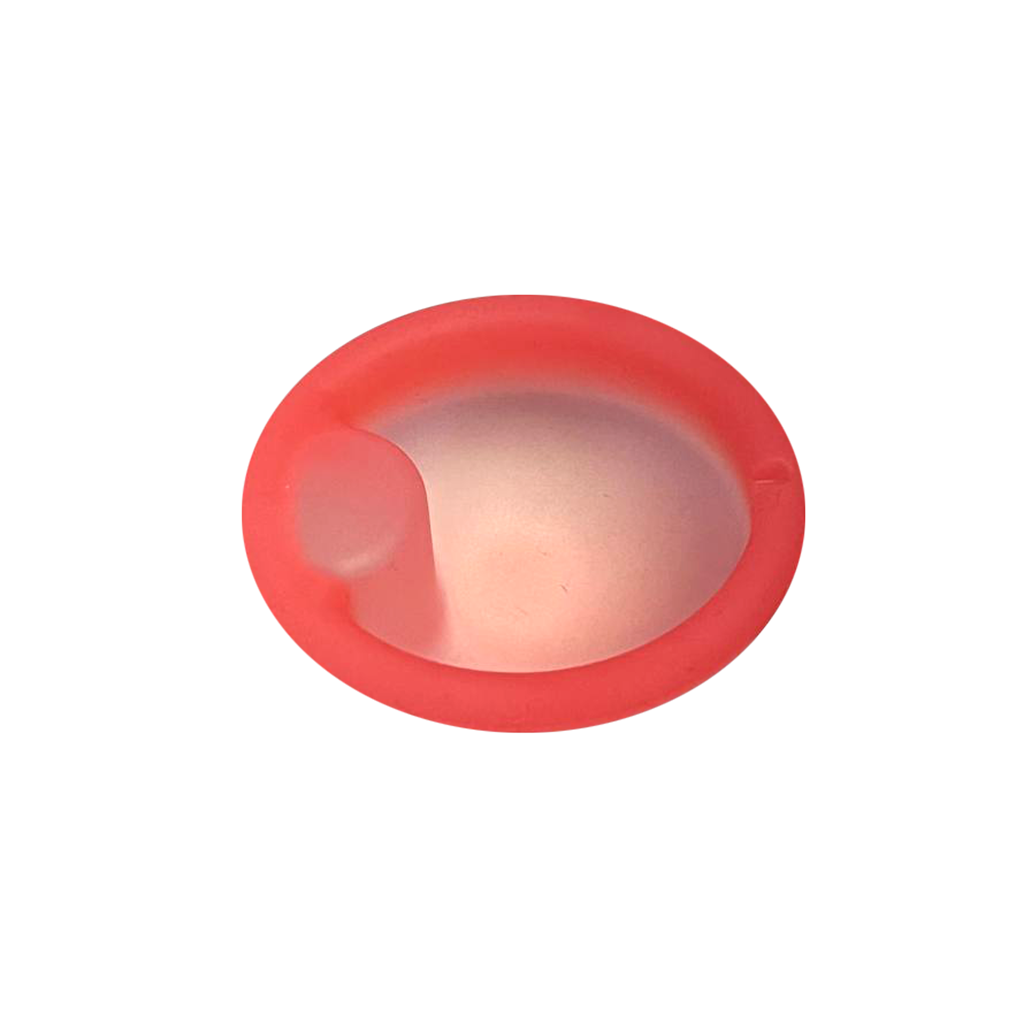 Reusable Period Disc – Soft Menstrual Disc for Women (Small/Large)